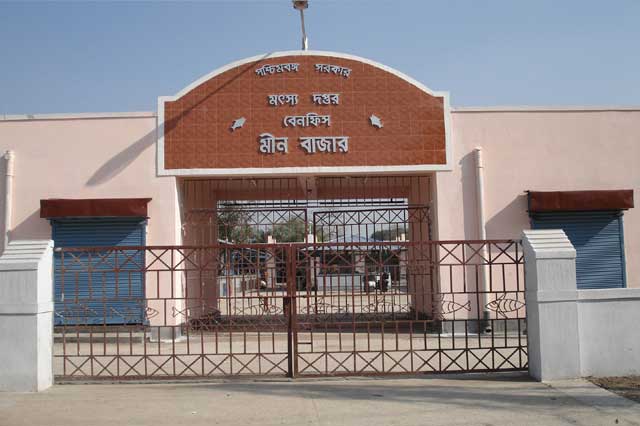 West Bengal Fishermen Cooperative Federation Ltd - BENFISH